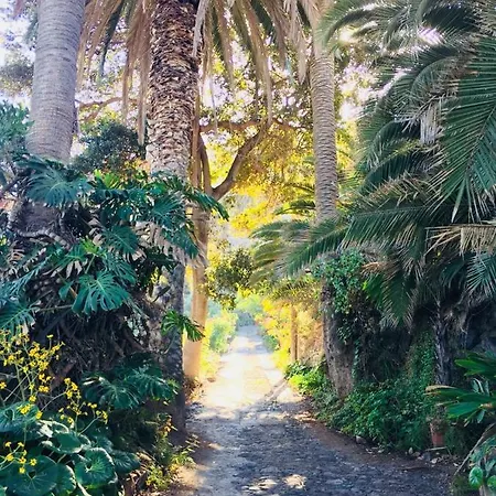 Hacienda El Socorro Лос-Реалехос